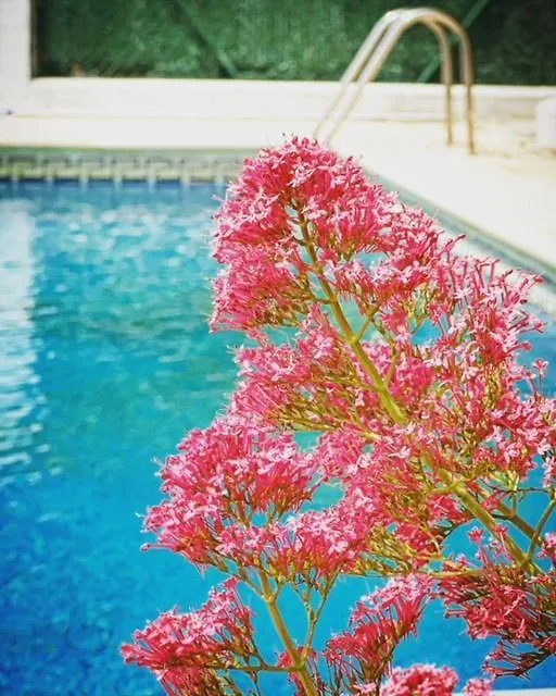 Villa Mas Blau Mar リョレート・デ・マル スペイン